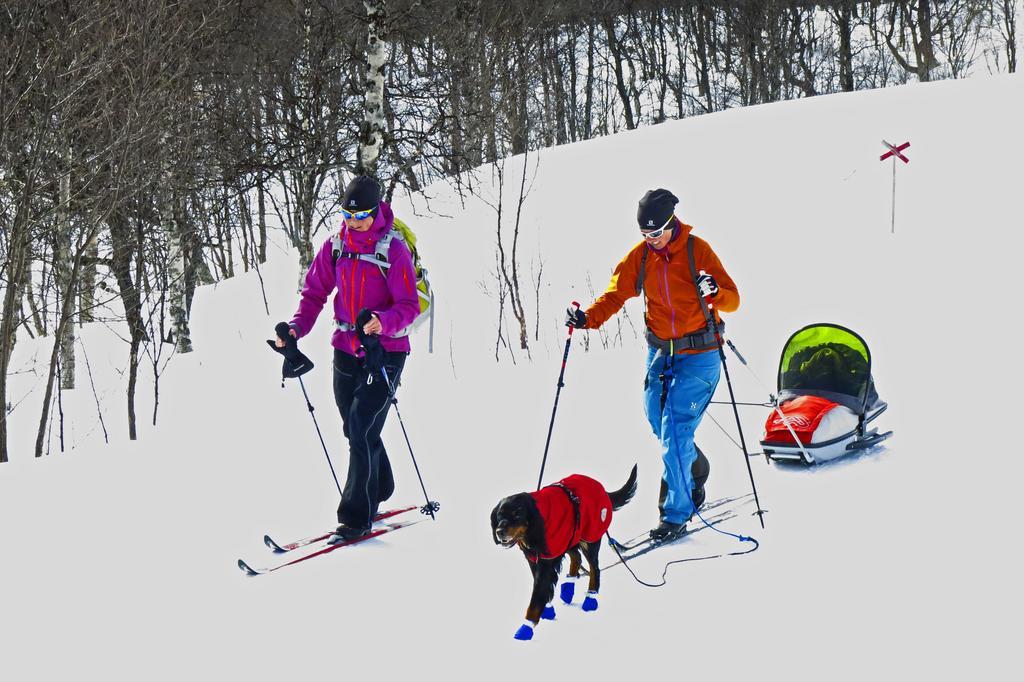 Eriksgardens Fjaellhotell Funäsdalen Zewnętrze zdjęcie